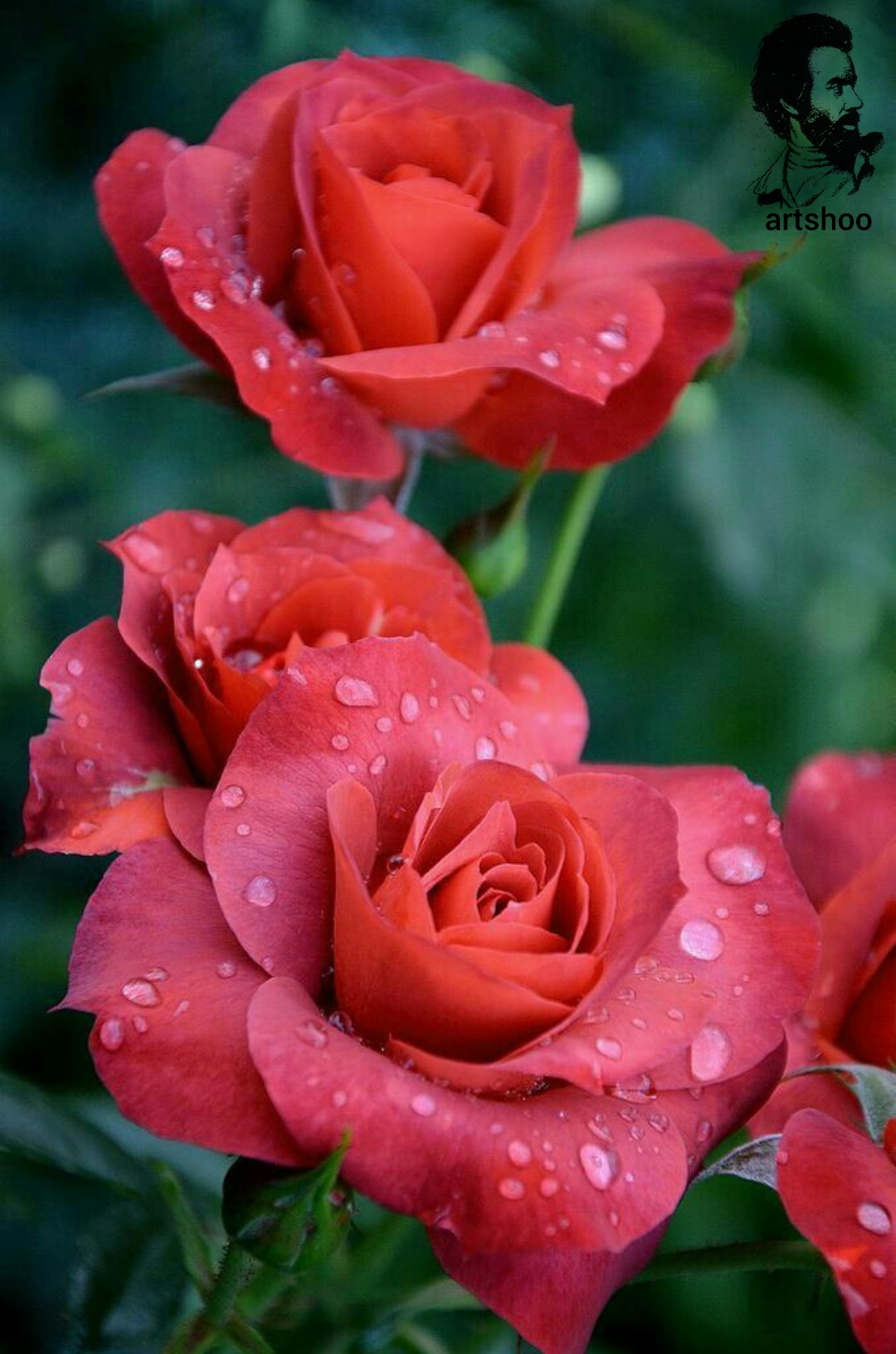 گل اورژینال رنگ روغن